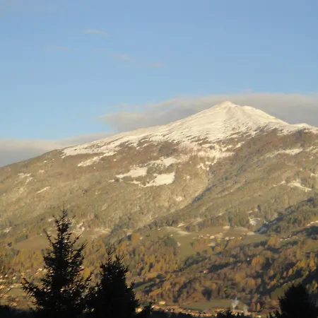 Schwaiger 3*