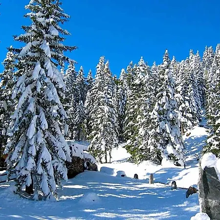 Schwaiger 3* Санкт-Маргаретен-им-Лунгау