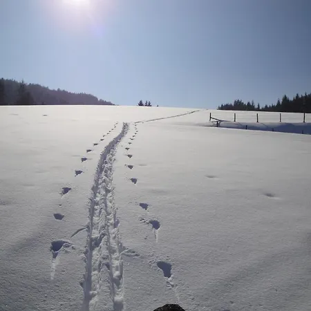Schwaiger Отель 3*